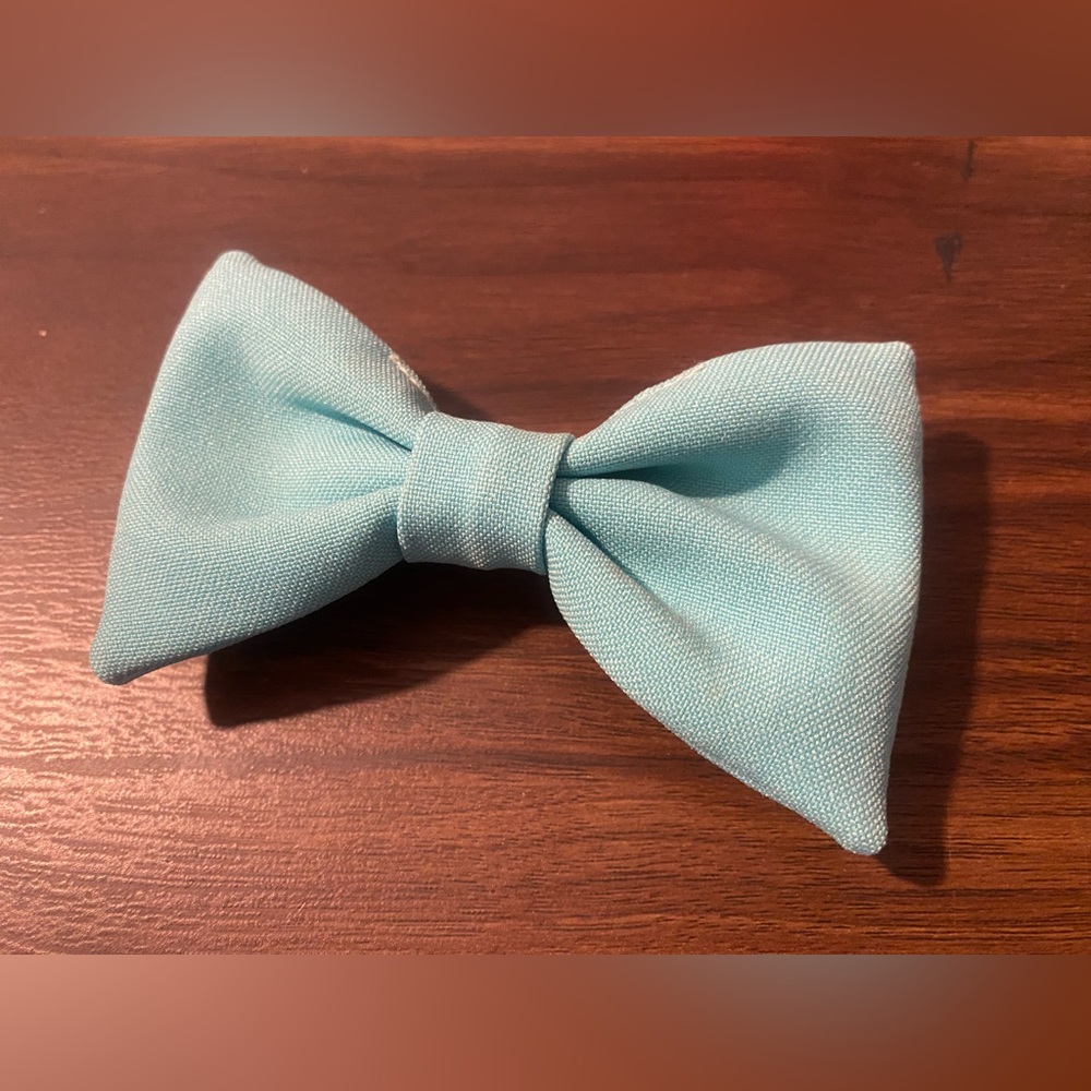 🎀American Apparel: Darling bow